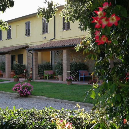 Agriturismo Il Cuscino Nel Pagliaio Campiglia Marittima Exterior photo