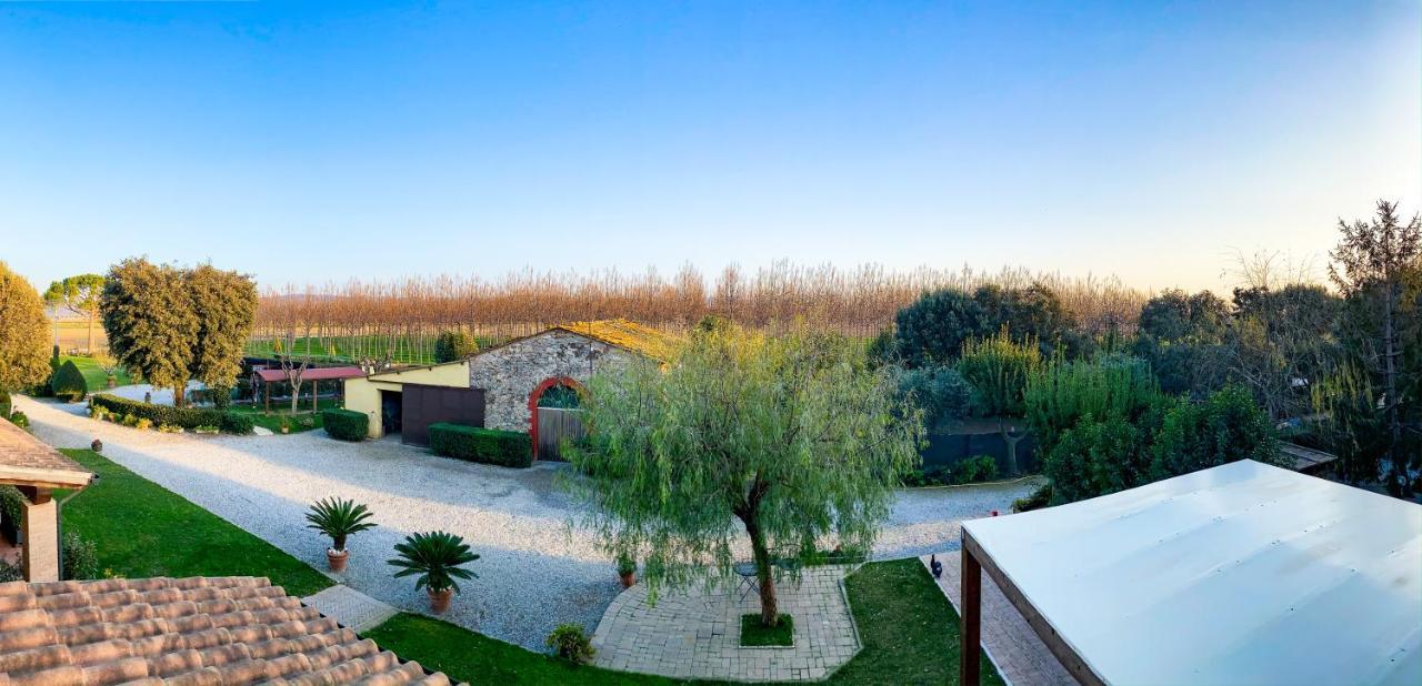 Agriturismo Il Cuscino Nel Pagliaio Campiglia Marittima Exterior photo
