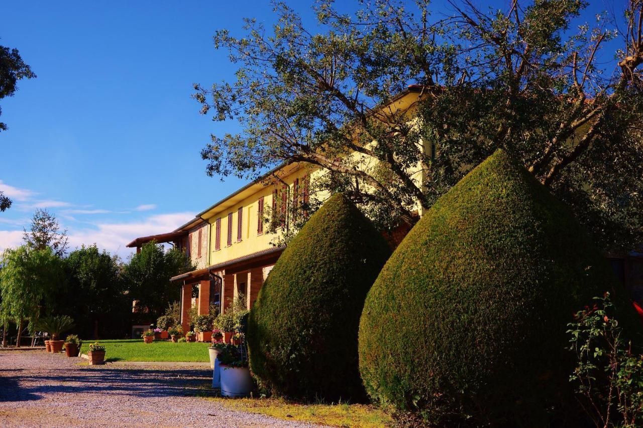 Agriturismo Il Cuscino Nel Pagliaio Campiglia Marittima Exterior photo