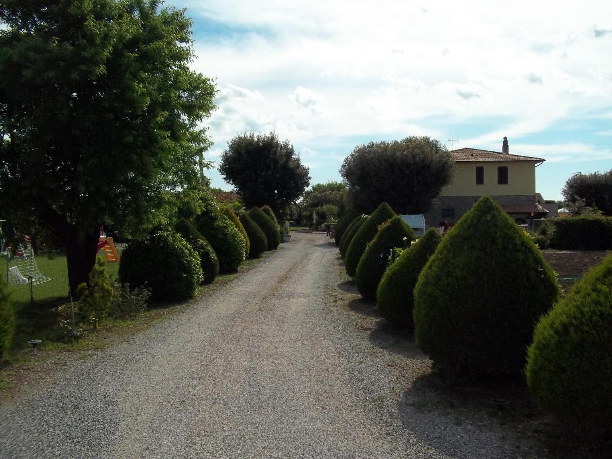 Agriturismo Il Cuscino Nel Pagliaio Campiglia Marittima Exterior photo